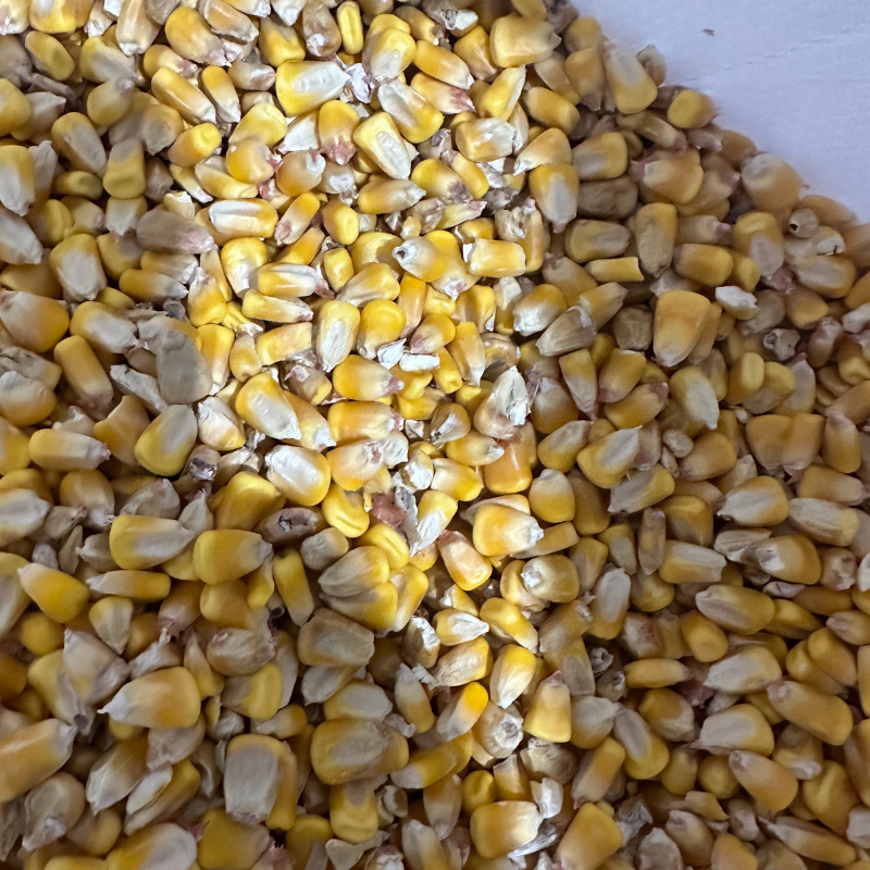 whole corn